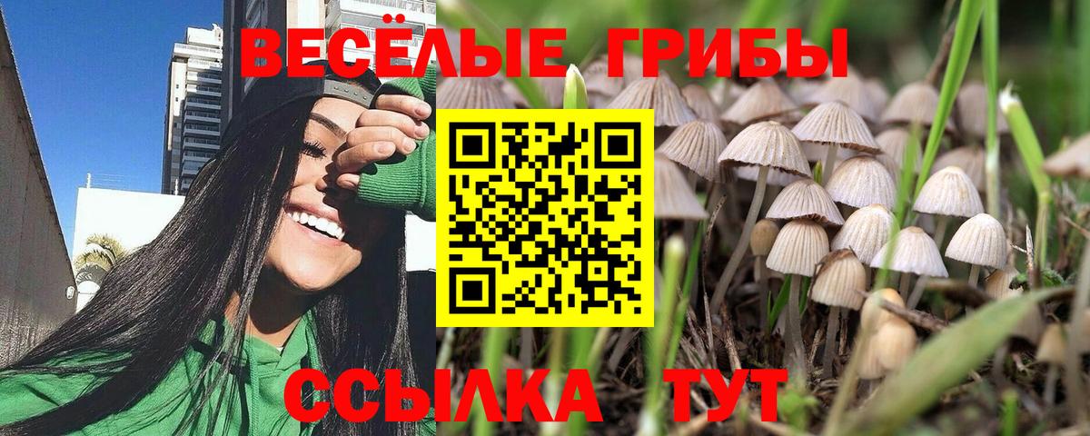Галлюциногенные грибы мицелий Вологда