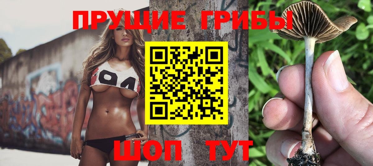 Вологда  Галлюциногенные грибы мухоморы  Вход с VPN 